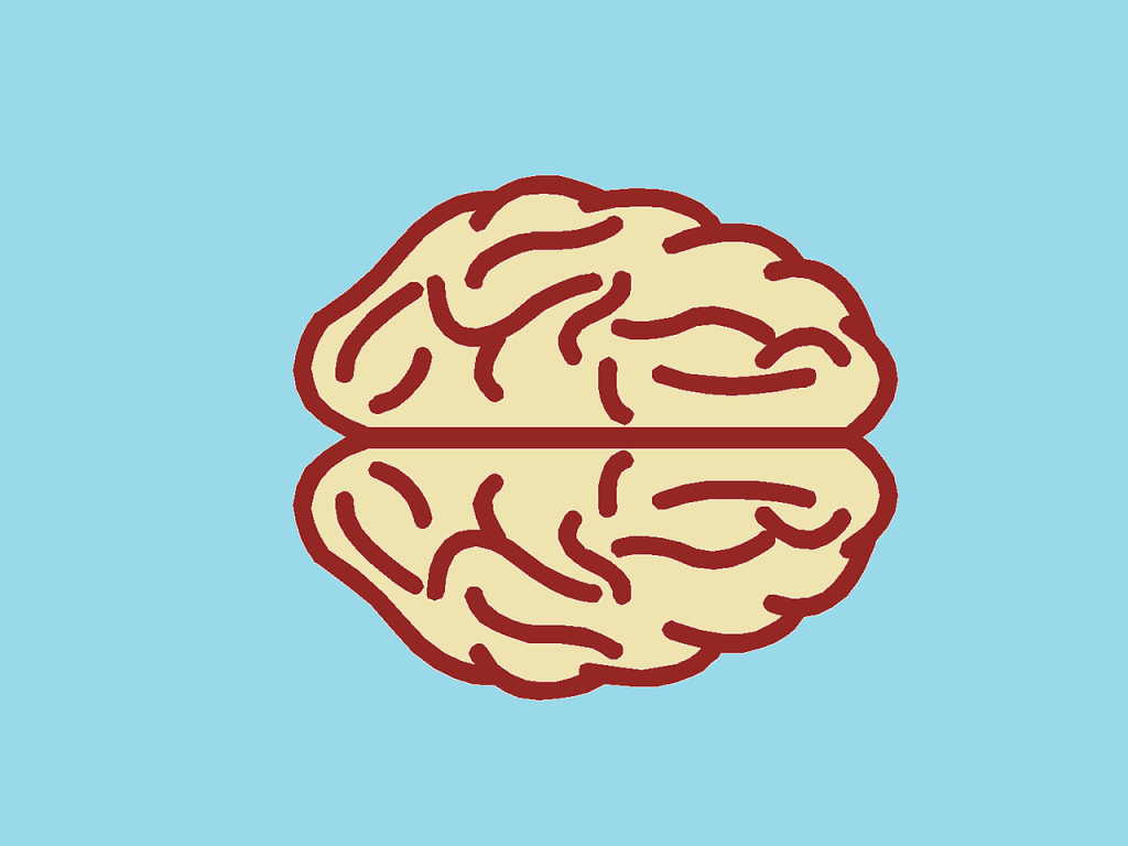 cambios en el cerebro al aprender inglés